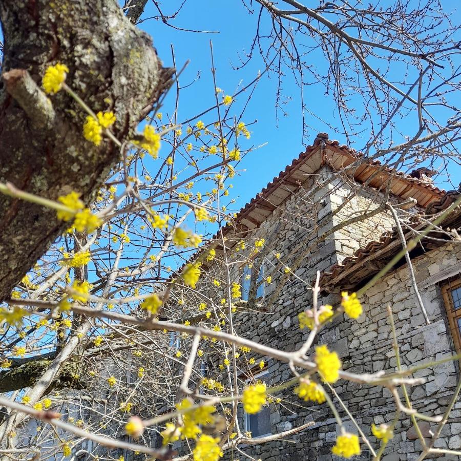 Bujtina Tusha Ξενοδοχείο Priska e Madhe Εξωτερικό φωτογραφία