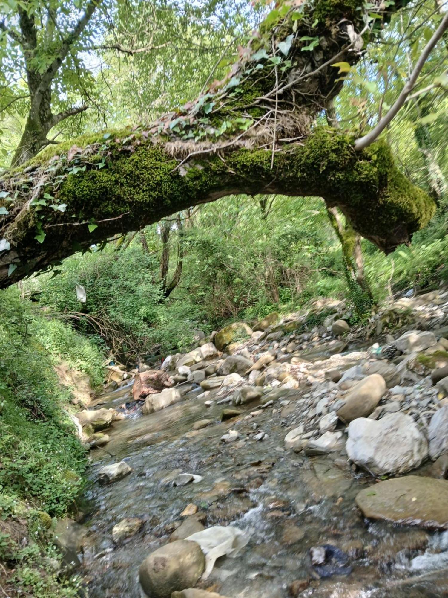 Bujtina Tusha Ξενοδοχείο Priska e Madhe Εξωτερικό φωτογραφία